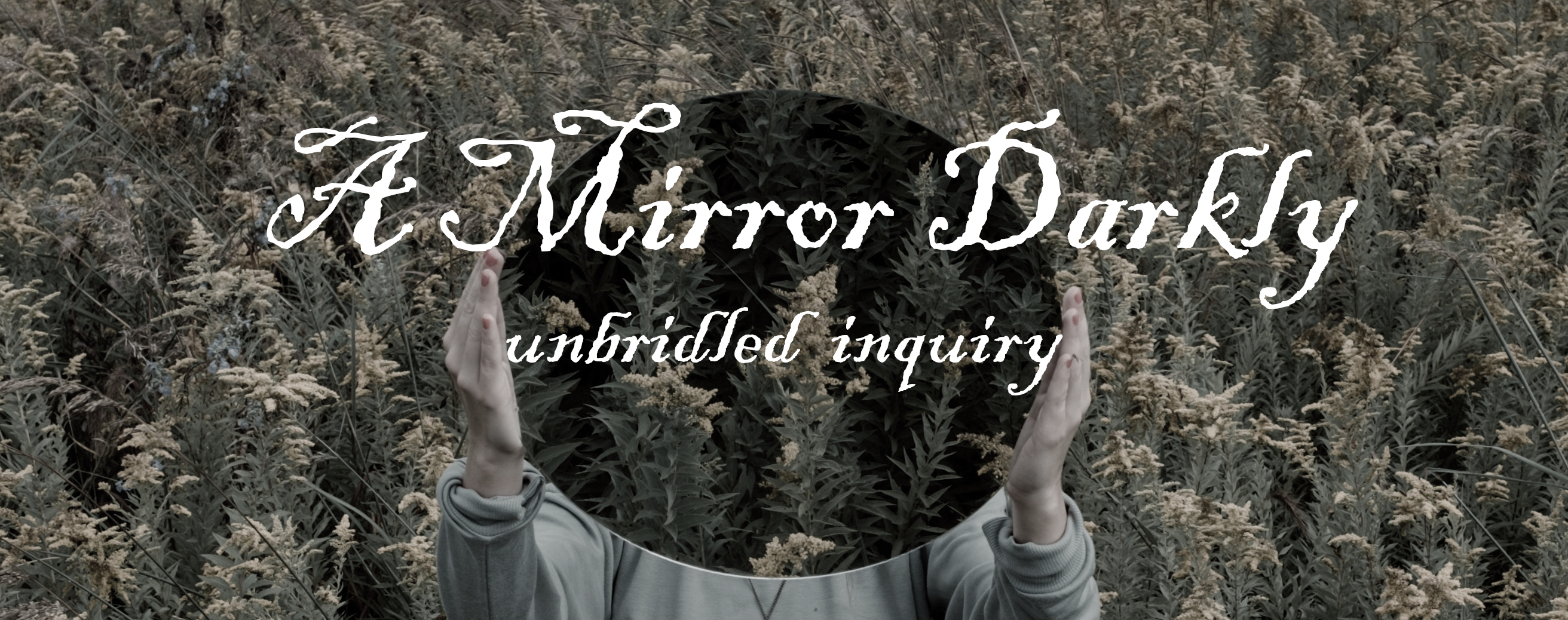 A Mirror Darkly